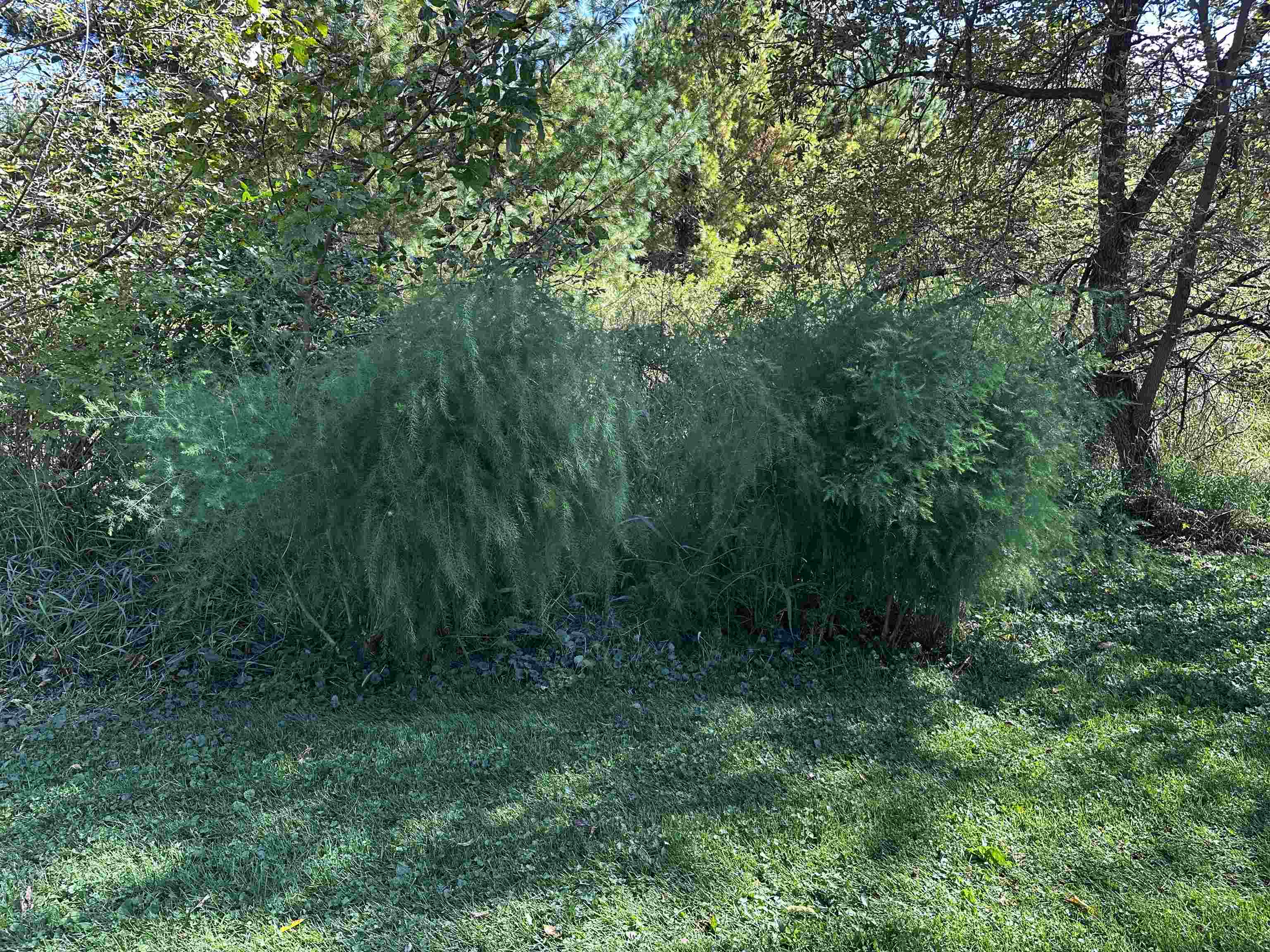 9873 Anton Road Clintonville, WI 54929 - Photo 48 of 49