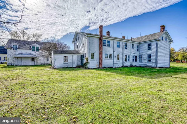 a view of a house with a big yard potted plants and large tree