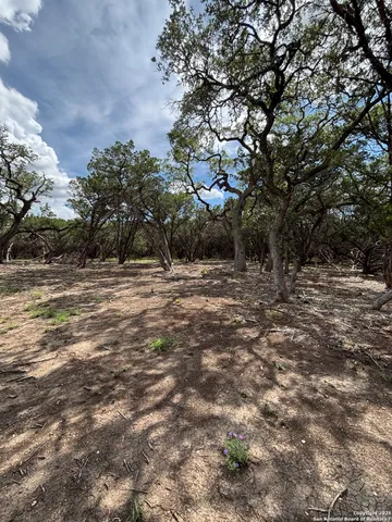 a view of road with trees