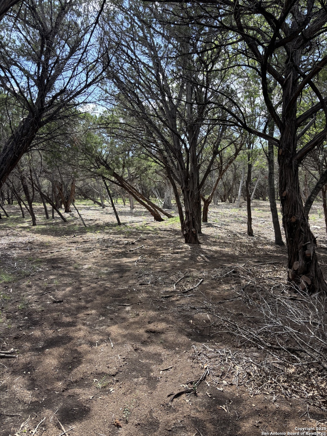 446 Waring Welfare Road Boerne, TX 78006 - Photo 8 of 8 a view of empty space with trees