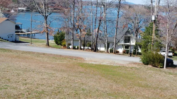 a view of a yard with a tree