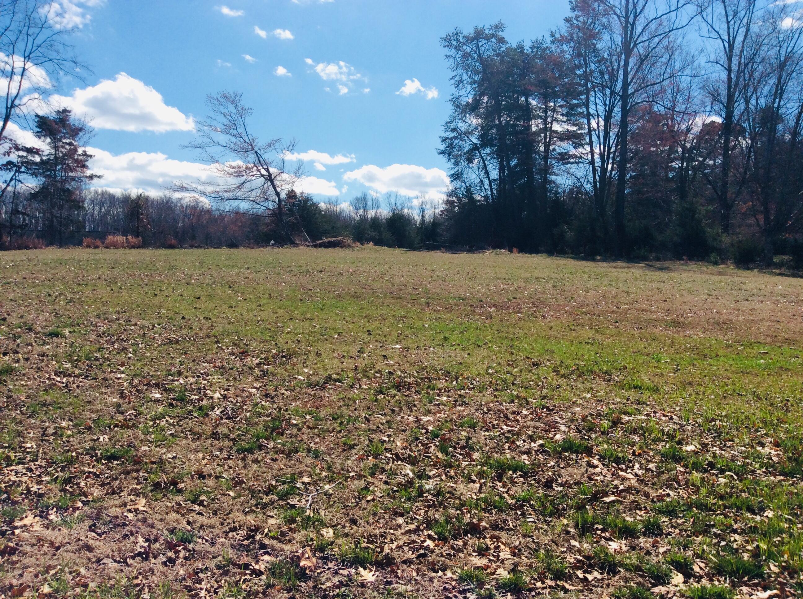 Lot 10 Highland Lake Rd Union Union Hall, VA 24176 - Photo 21 of 25 a view of outdoor space and yard