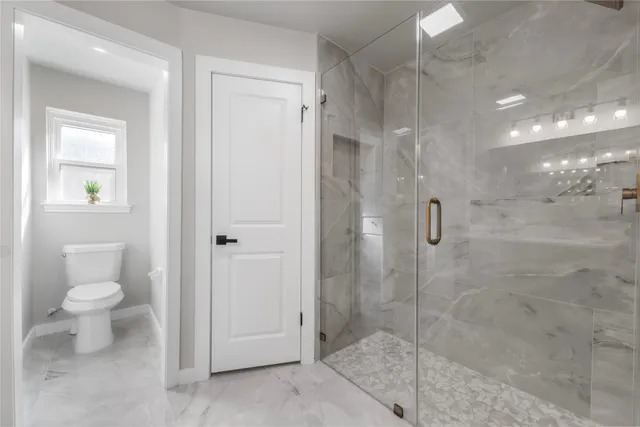 a bathroom with a shower and a toilet