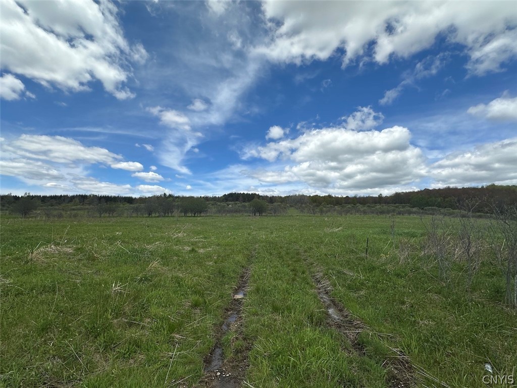 Shaffer Road Cuba, NY 14727 - Photo 11 of 11