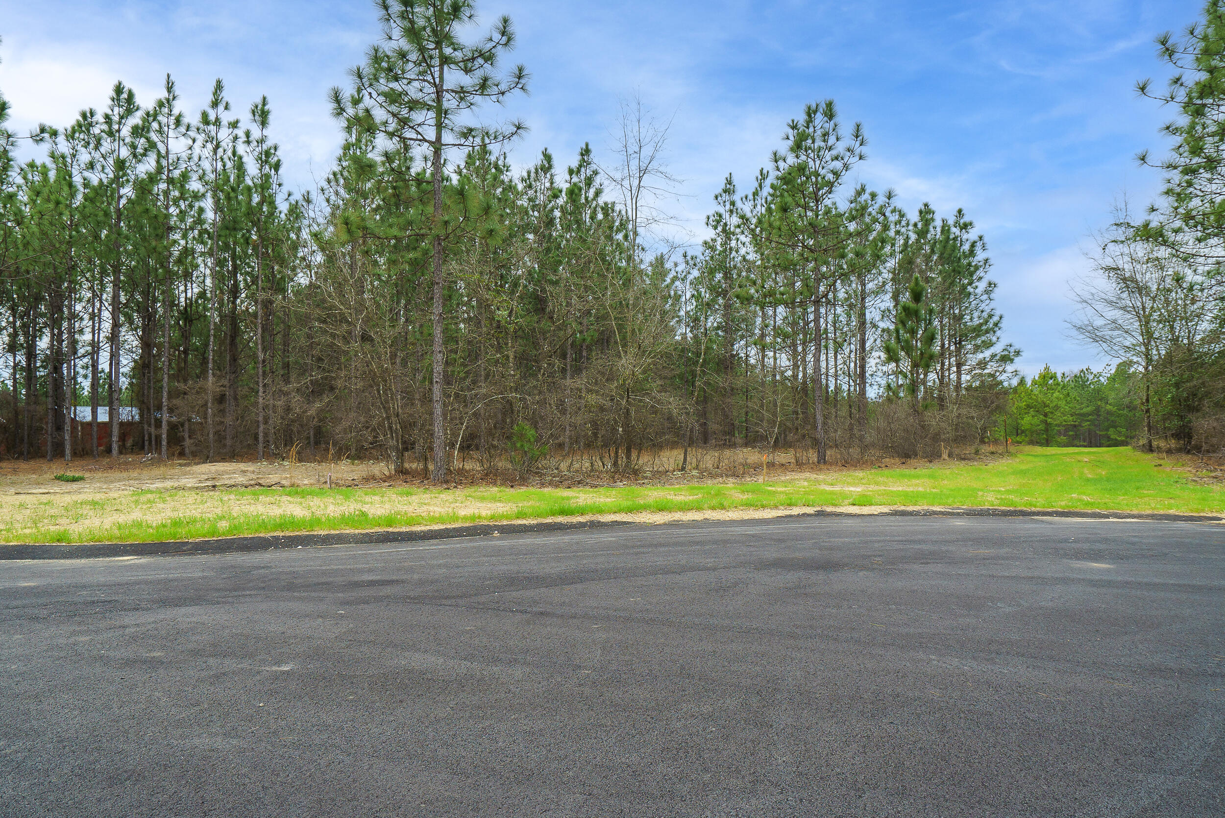 Lot 4-1 Simonside Court Aiken, SC 29803 - Photo 18 of 31
