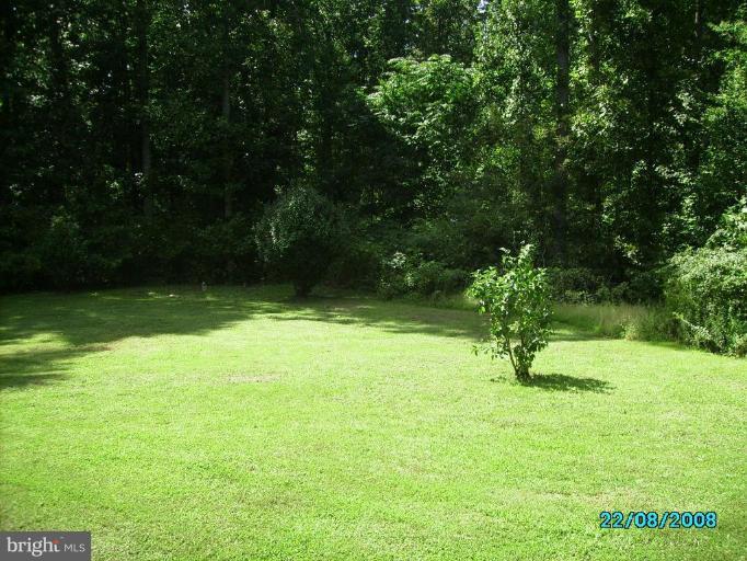 8322 Hillendale Road Culpeper, VA 22701 - Photo 13 of 18 Back yard