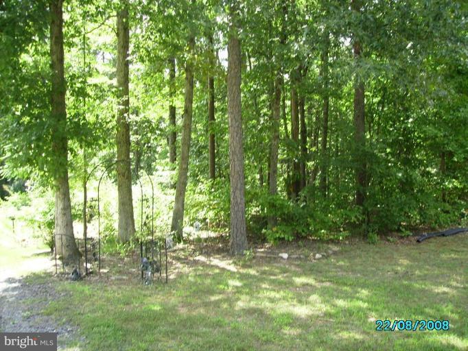 8322 Hillendale Road Culpeper, VA 22701 - Photo 16 of 18 Wooded View / Acreage
