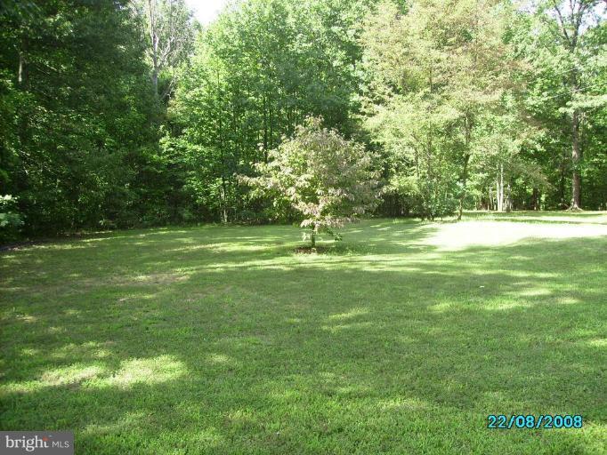 8322 Hillendale Road Culpeper, VA 22701 - Photo 17 of 18 Wooded View / Acreage 2