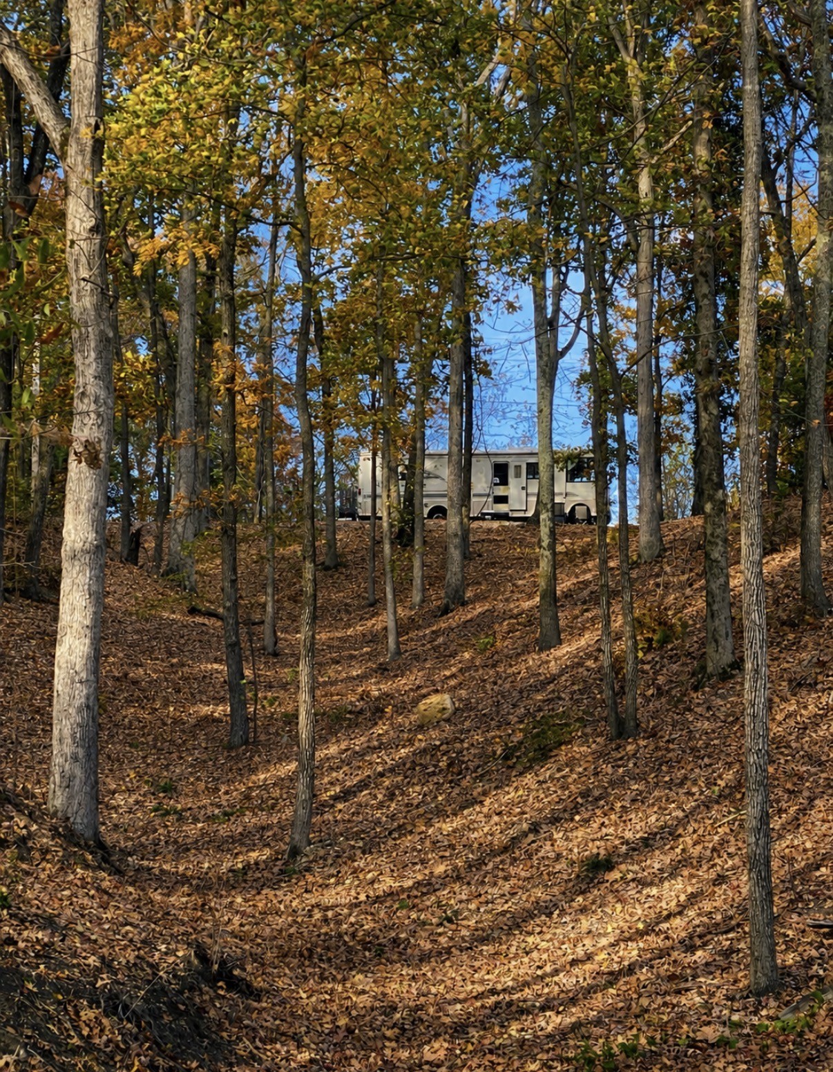 643 Wismer Road Camden, TN 38320 - Photo 11 of 11 Gallery Image 11