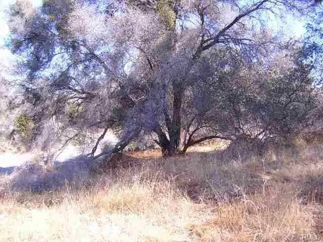 0 Revis Coarsegold, CA 93614 - Photo 17 of 18