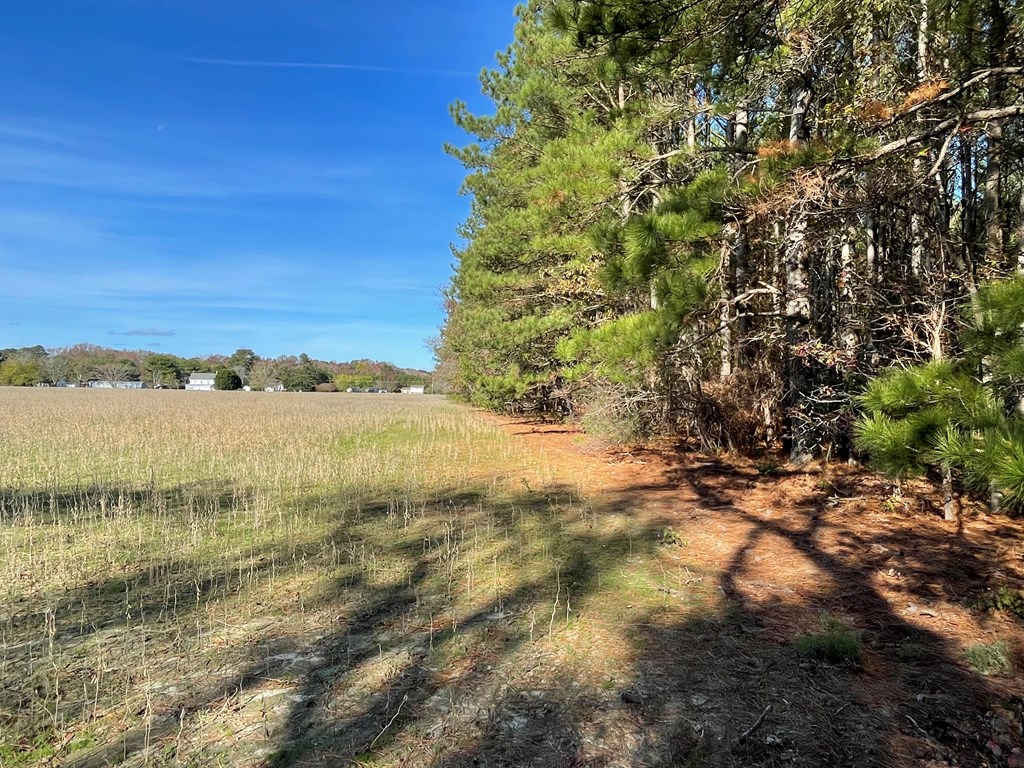 8-acres Redwood Road Onancock, VA 23417 - Photo 27 of 28