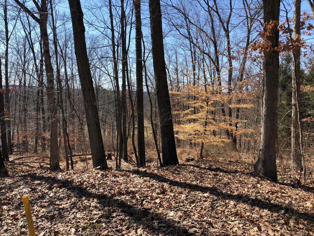 Lot 5 Metz Road Parker, PA 16049 - Photo 6 of 10