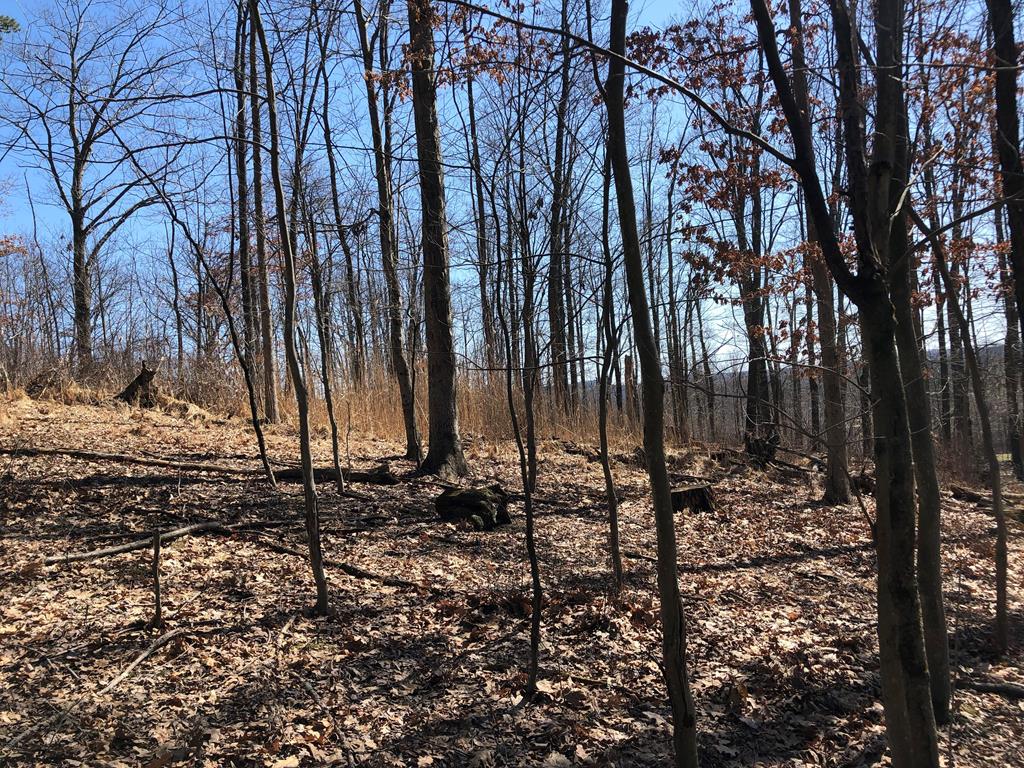 Lot 5 Metz Road Parker, PA 16049 - Photo 8 of 10