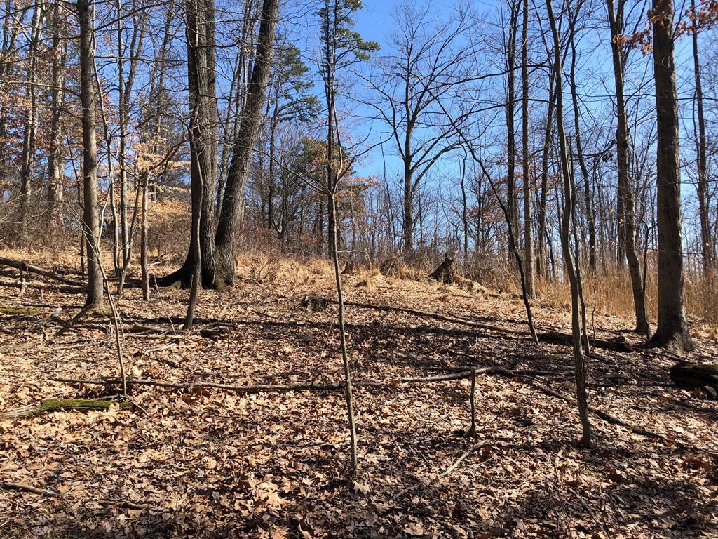 Lot 5 Metz Road Parker, PA 16049 - Photo 9 of 10