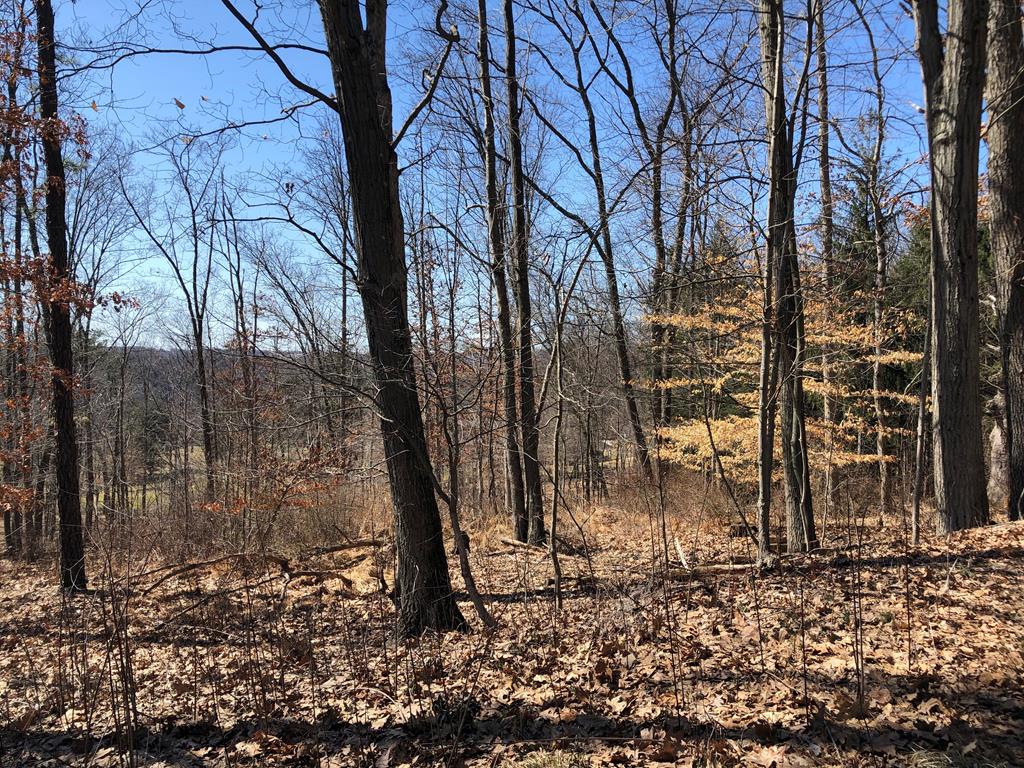 Lot 5 Metz Road Parker, PA 16049 - Photo 10 of 10