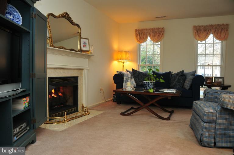 117 Peyton Road Sterling, VA 20165 - Photo 11 of 15 Living Room