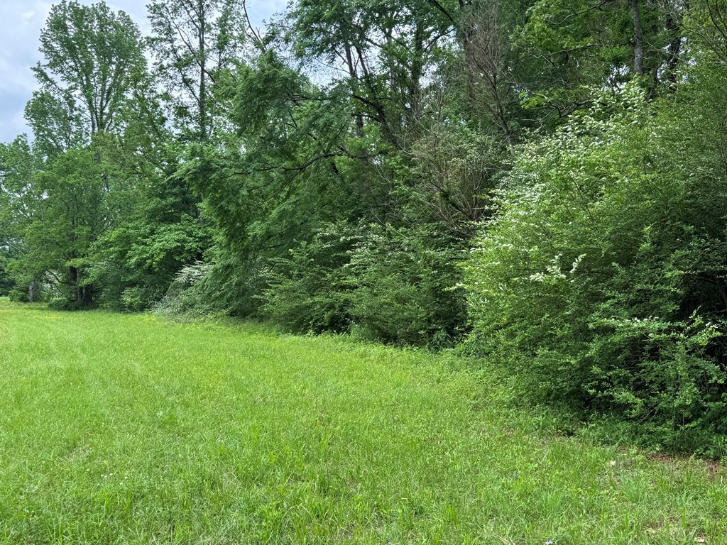 0 Green Gable Road Terry, MS 39170 - Photo 3 of 12 Photo 3