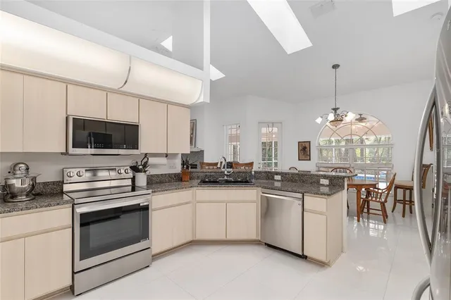 a view of a forest with trees in the background