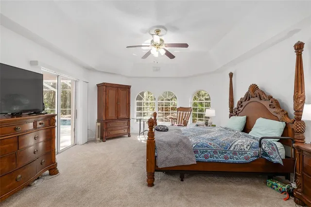 a view of a forest with trees