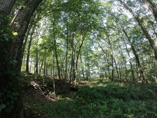 $300,000 | 196-200 North Main Street, Middleton, MA 01949