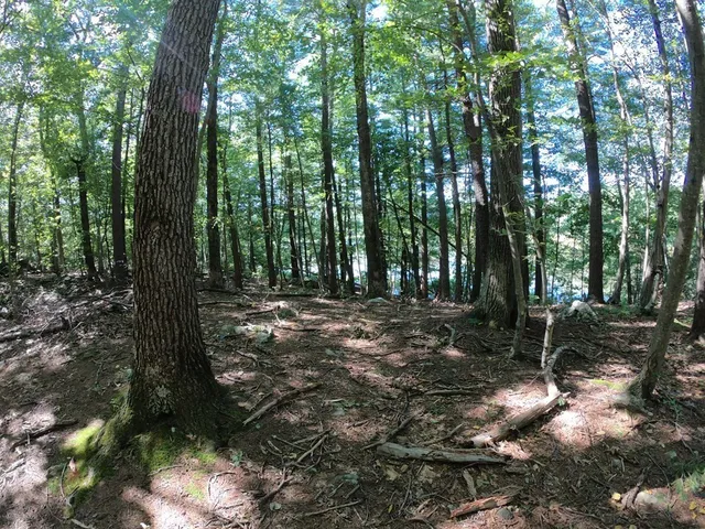 $300,000 | 196-200 North Main Street, Middleton, MA 01949