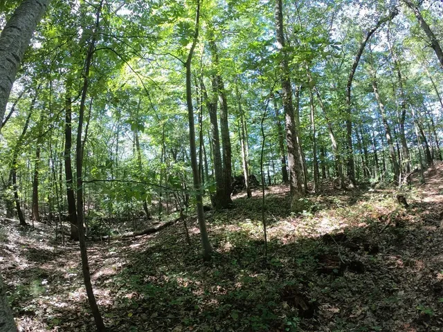 $300,000 | 196-200 North Main Street, Middleton, MA 01949