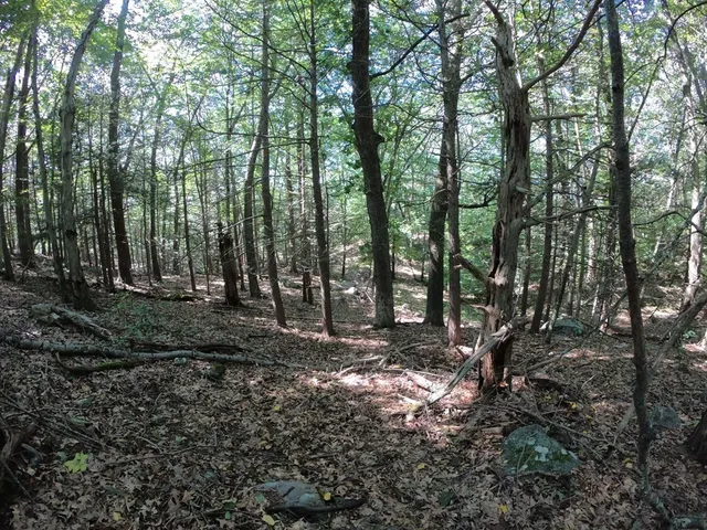 $300,000 | 196-200 North Main Street, Middleton, MA 01949