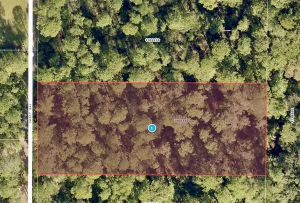 front view of a house with a tree