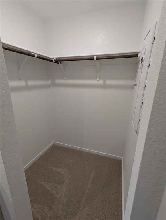 904 Wood Stork Way Princeton, TX 75407 - Photo 18 of 40 a close view of closet