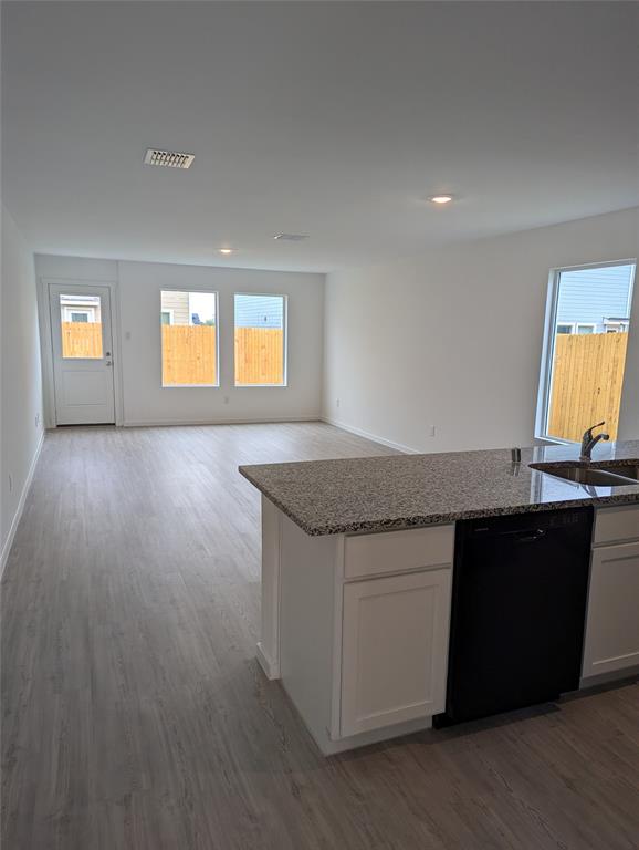904 Wood Stork Way Princeton, TX 75407 - Photo 7 of 40 a kitchen with granite countertop a sink and a wooden floor