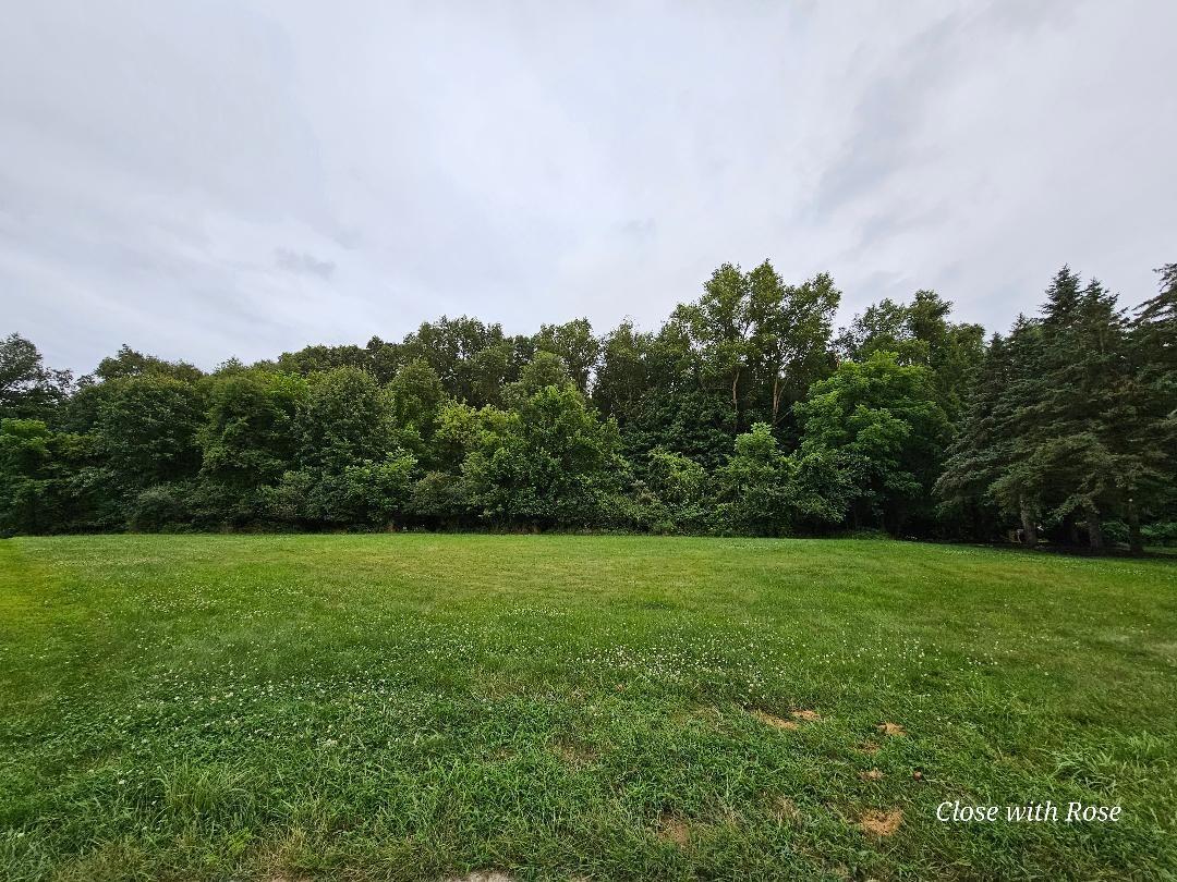 123 Castle Ridge Drive Battle Creek, MI 49015 - Photo 3 of 3 From the street