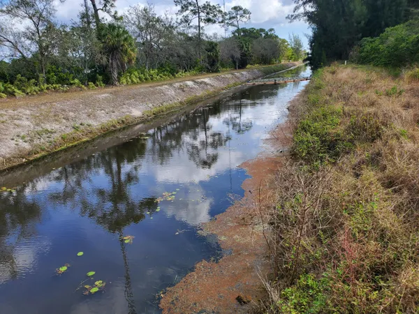 a view of a lake with a mountain
