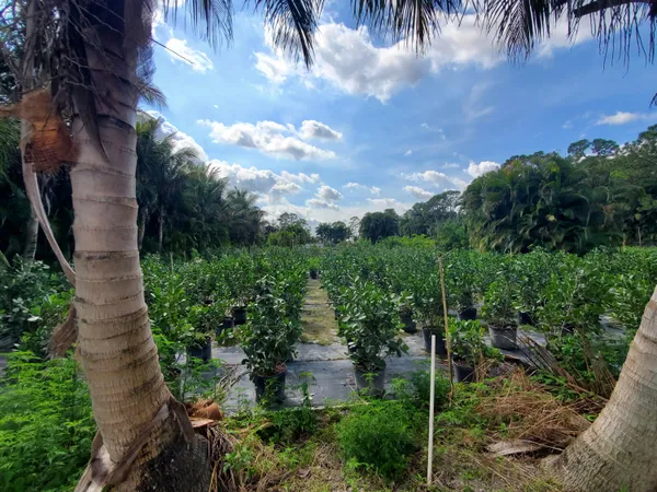 a view of a pathway both side of house
