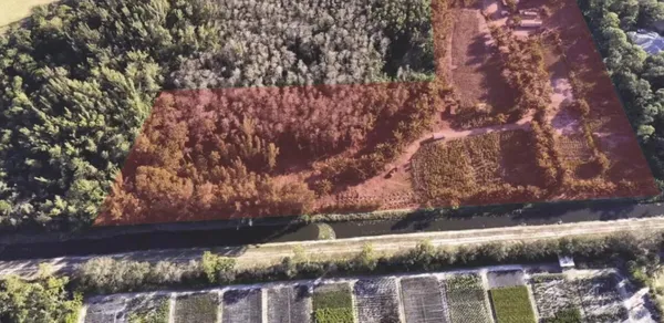a view of a lake in middle of the forest