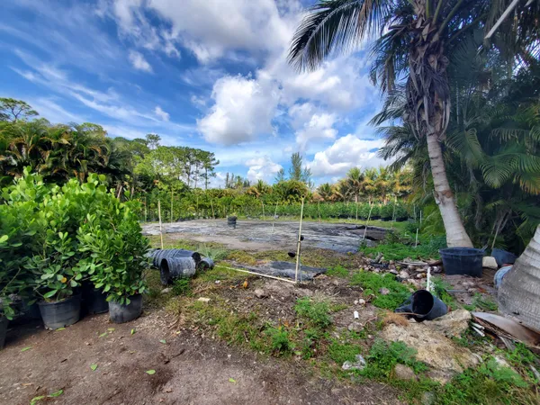 a view of a yard with lots of green space