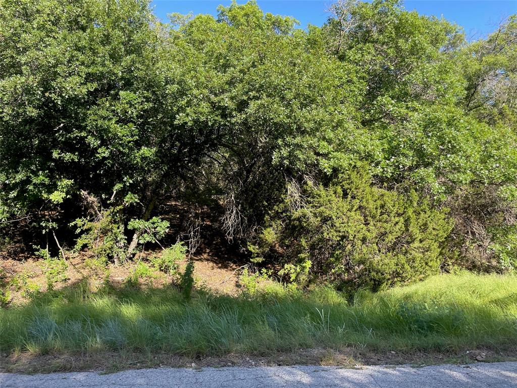 Lot 22 Oakcrest Drive Ranger, TX 76470 - Photo 2 of 9 a view of a yard