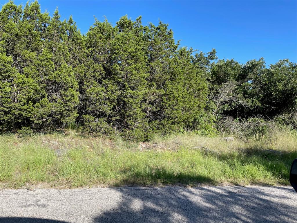 Lot 22 Oakcrest Drive Ranger, TX 76470 - Photo 3 of 9 a view of a yard with a tree