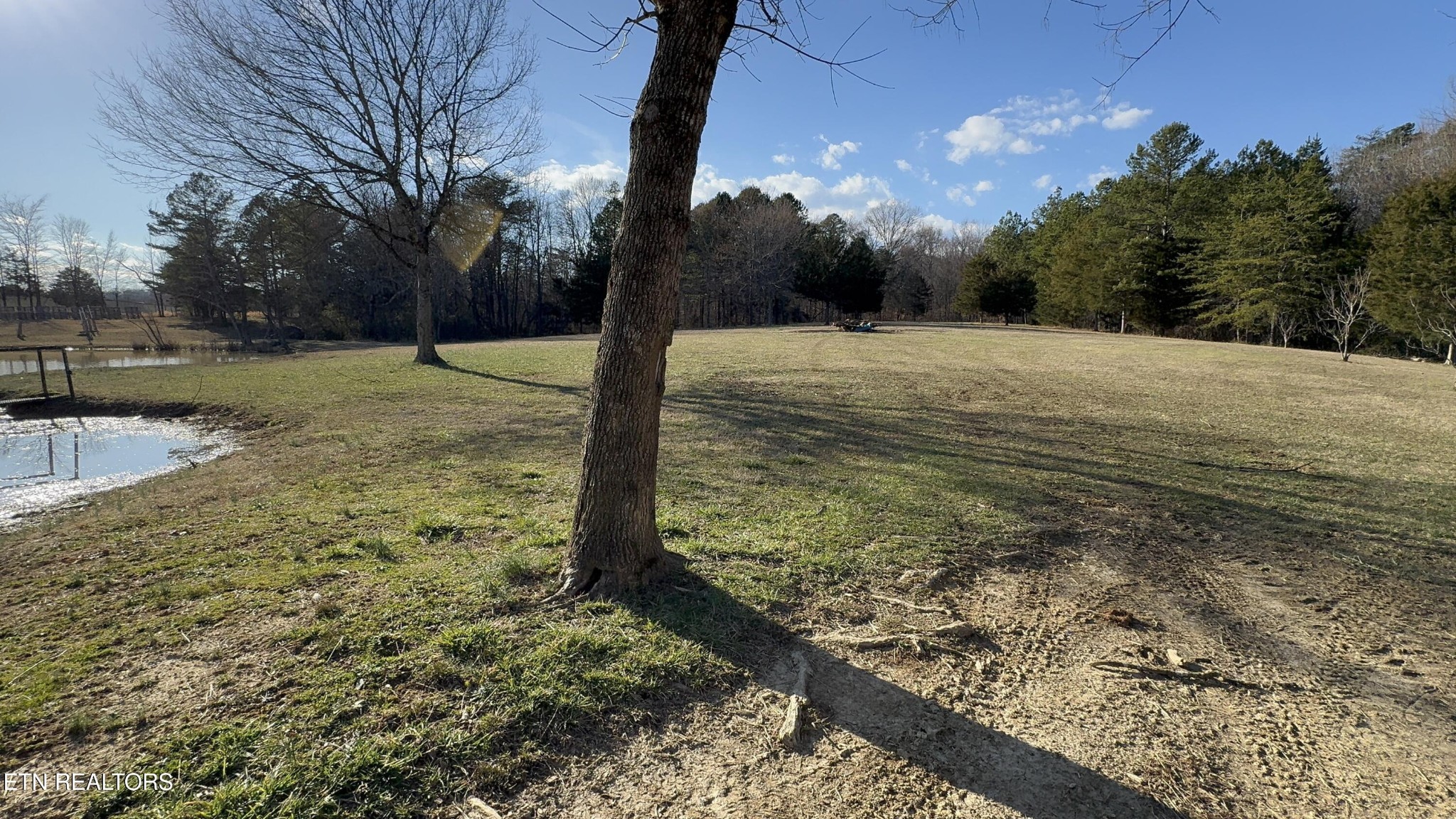 357 Doc Norton Road Maryville, TN 37804 - Photo 7 of 50 Gallery Image 7