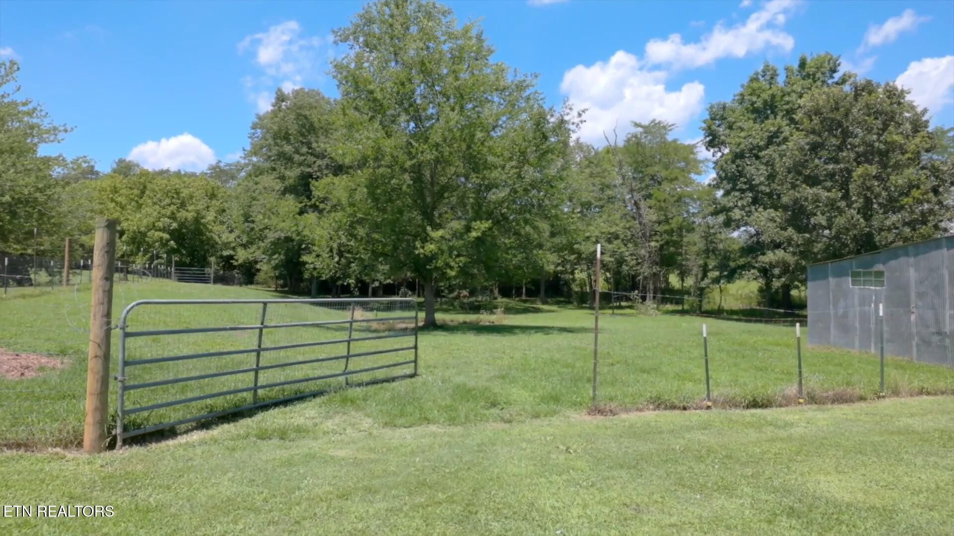 357 Doc Norton Road Maryville, TN 37804 - Photo 8 of 50 Gallery Image 8