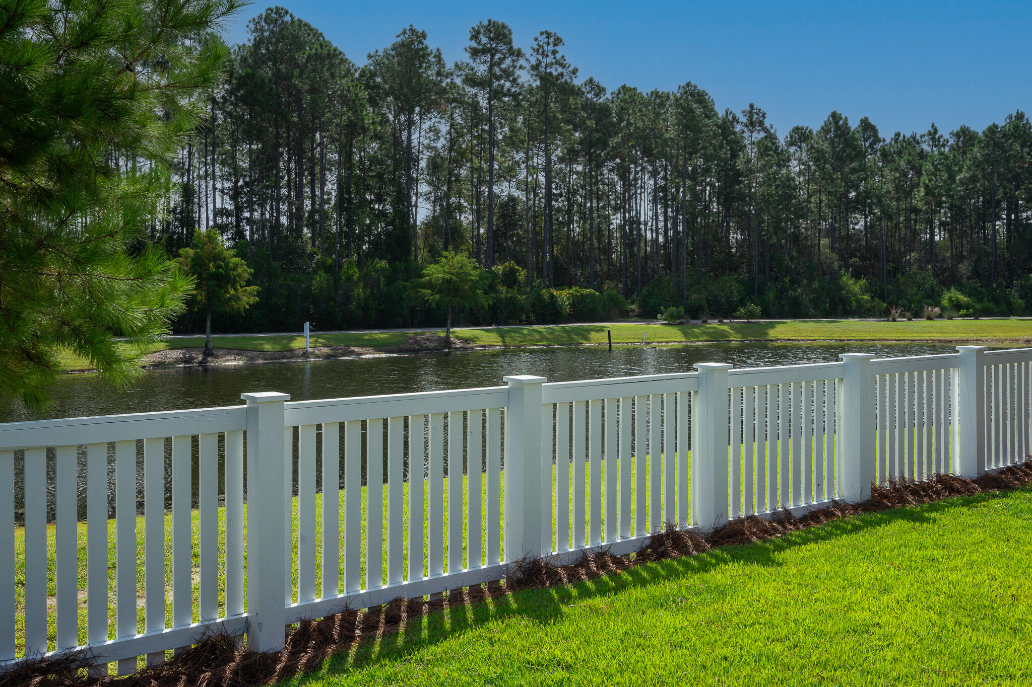 229 Sandchase Circle Inlet Beach, FL 32461 - Photo 36 of 61 a view of a yard with wooden fence