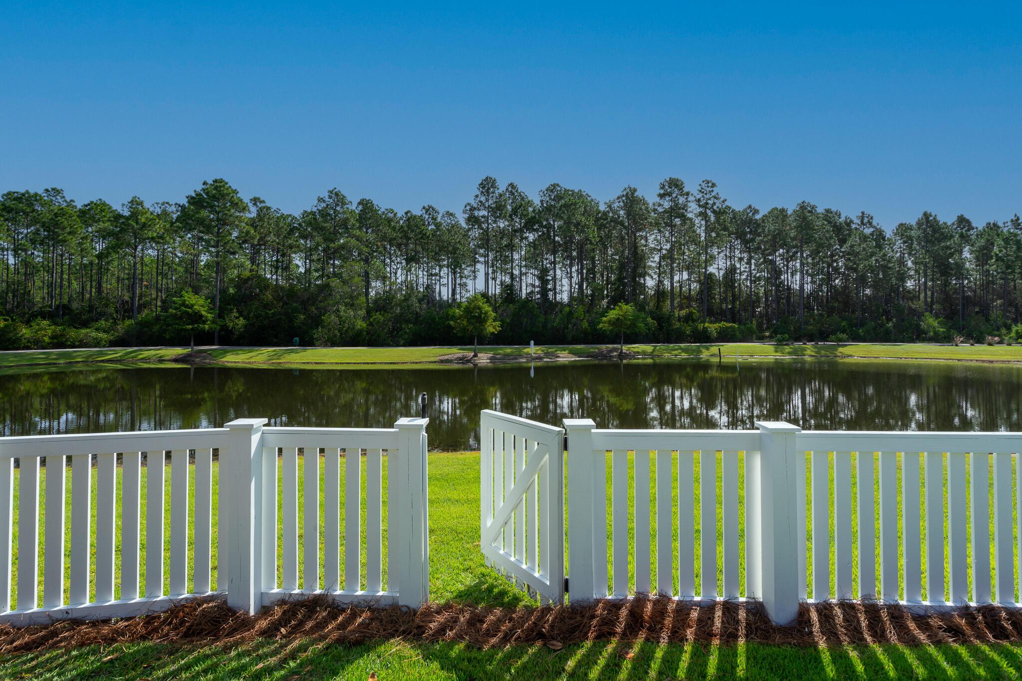229 Sandchase Circle Inlet Beach, FL 32461 - Photo 37 of 61 Backyard Lake View