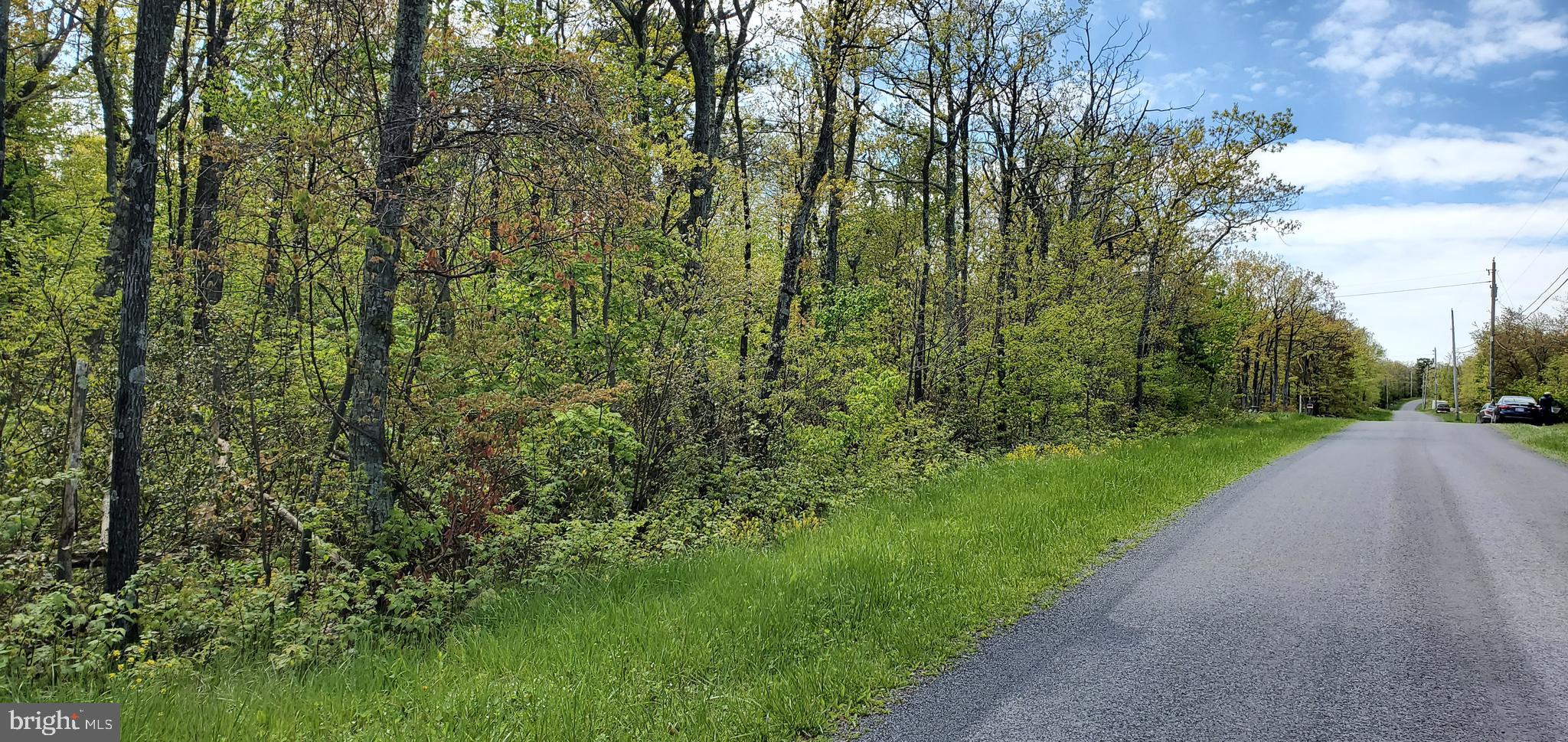 Lot 61 Timber Ridge Trail Winchester, VA 22602 - Photo 4 of 7 Street View on Timber Ridge Trail