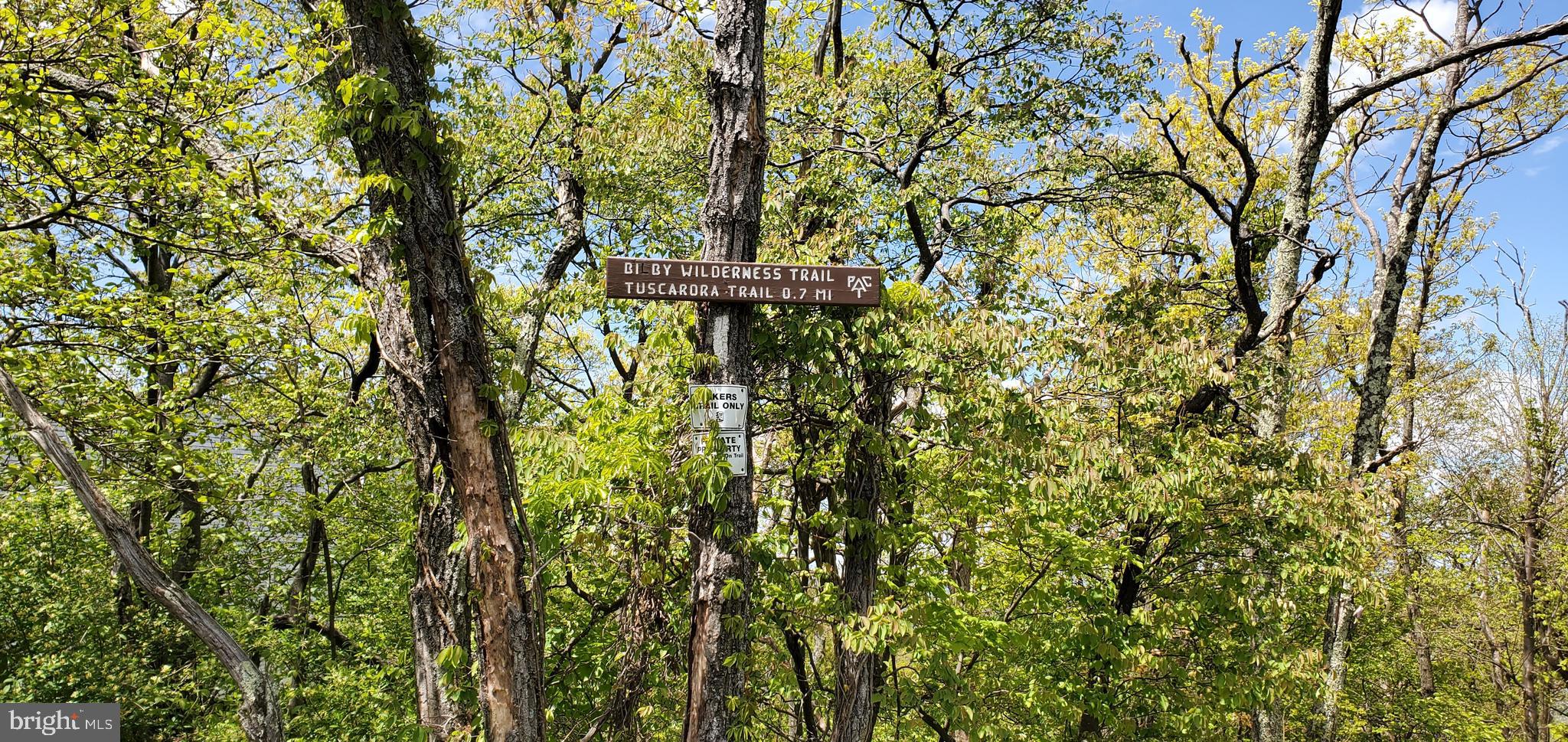 Lot 61 Timber Ridge Trail Winchester, VA 22602 - Photo 5 of 7 Bilby Wilderness Trail, Tuscarora Trial