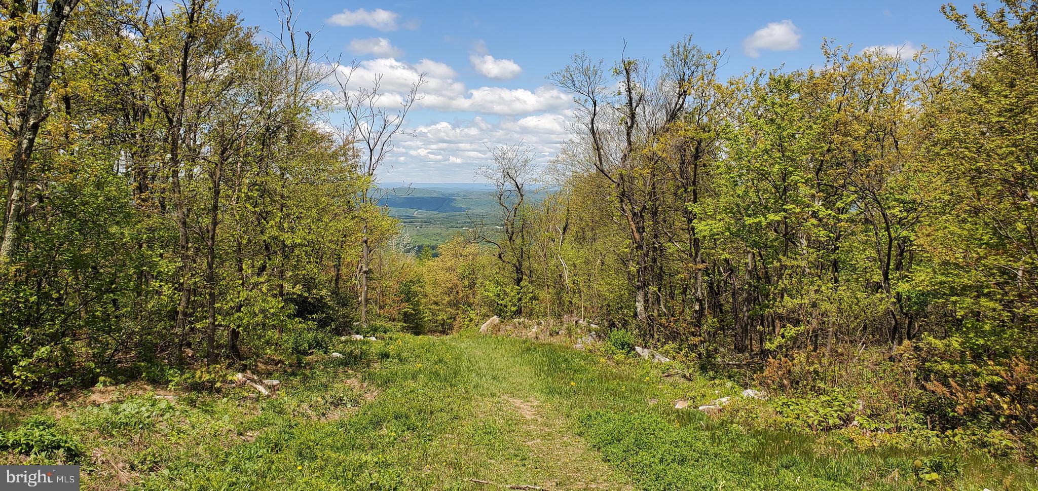Lot 61 Timber Ridge Trail Winchester, VA 22602 - Photo 6 of 7 Trail head steps from property
