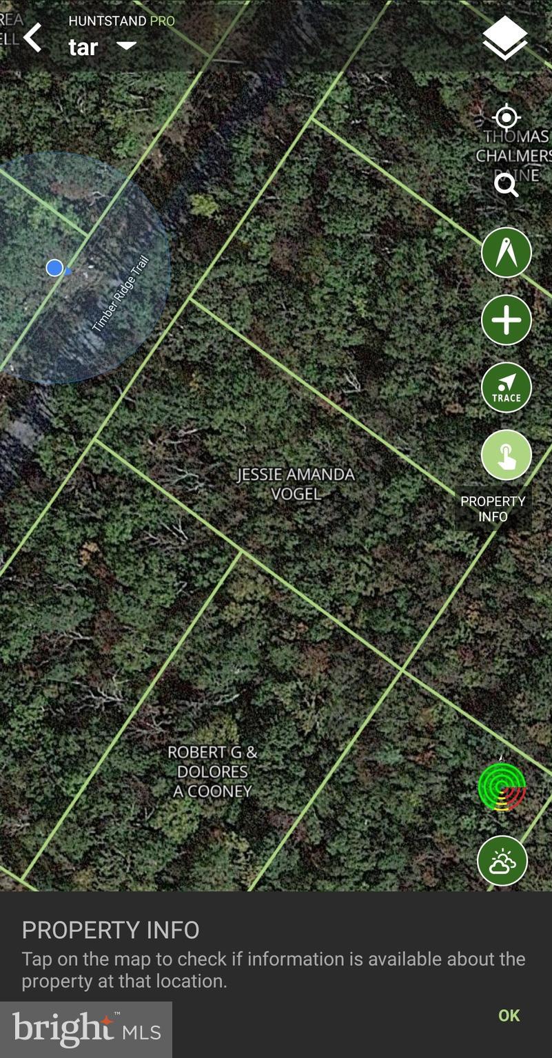 Lot 61 Timber Ridge Trail Winchester, VA 22602 - Photo 7 of 7
