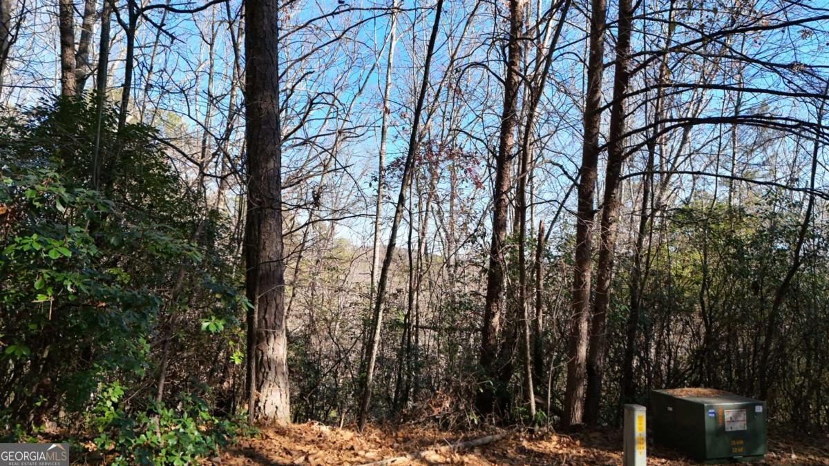 Lot 1 Gold Valley Road Sautee Nacoochee, GA 30571 - Photo 3 of 13