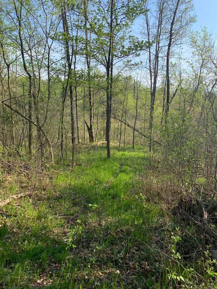 Jones Road Howell, MI 48855 - Photo 4 of 6