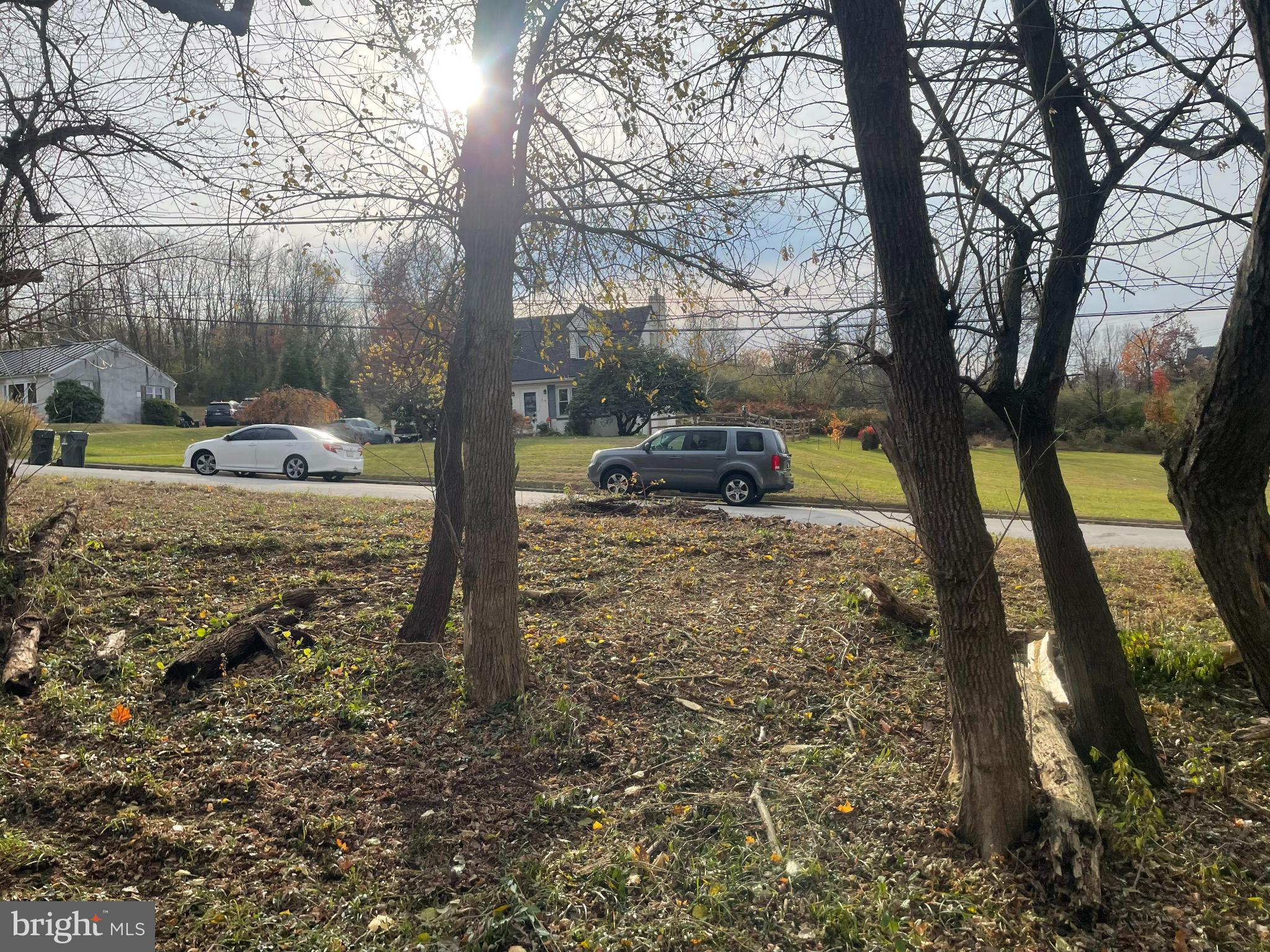 17 Cromby Road Phoenixville, PA 19460 - Photo 5 of 5 Road-facing view of 1-acre mixed-use land