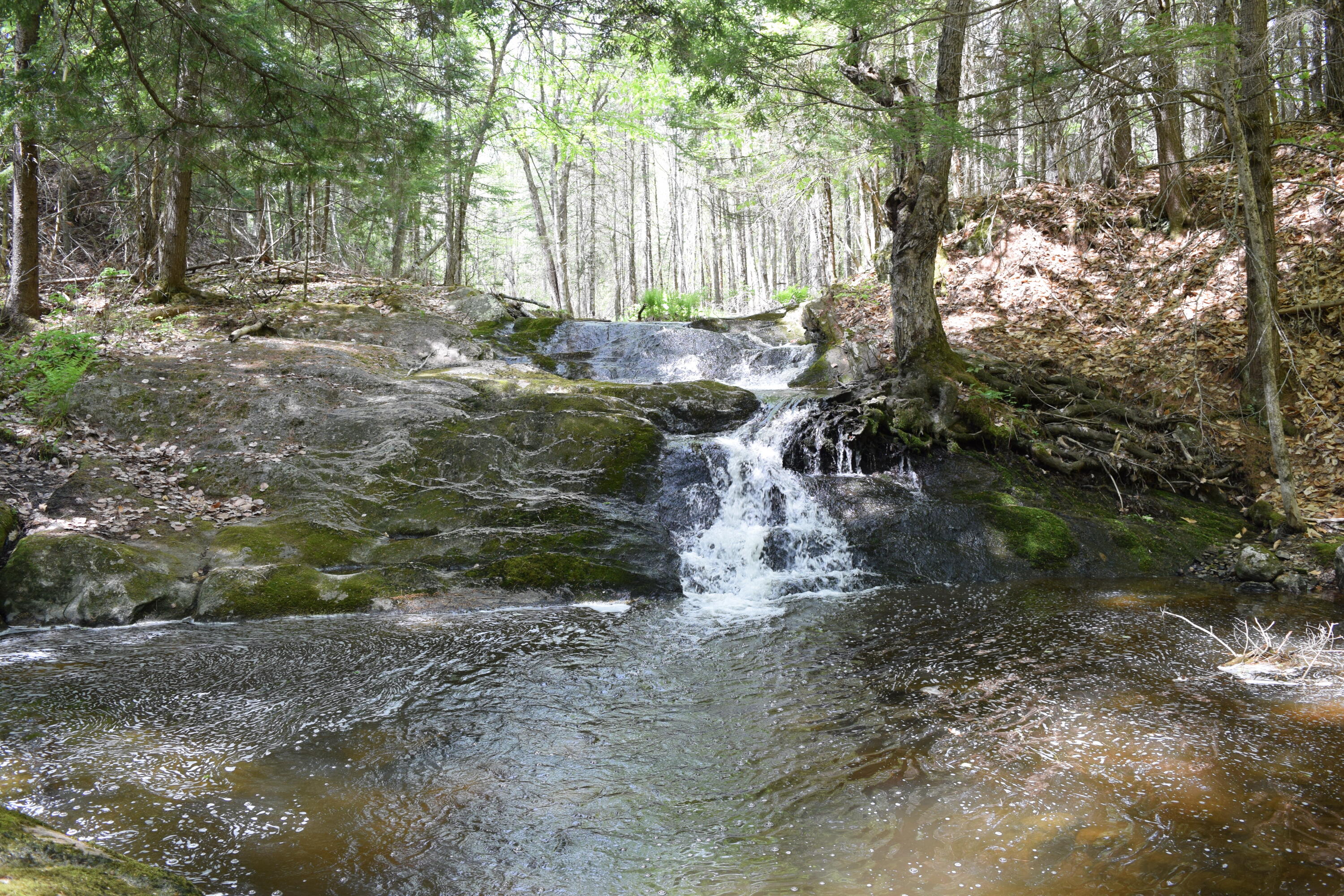 Lot #30 Potter Road Lisbon, ME 04252 - Photo 8 of 13 DSC_1232