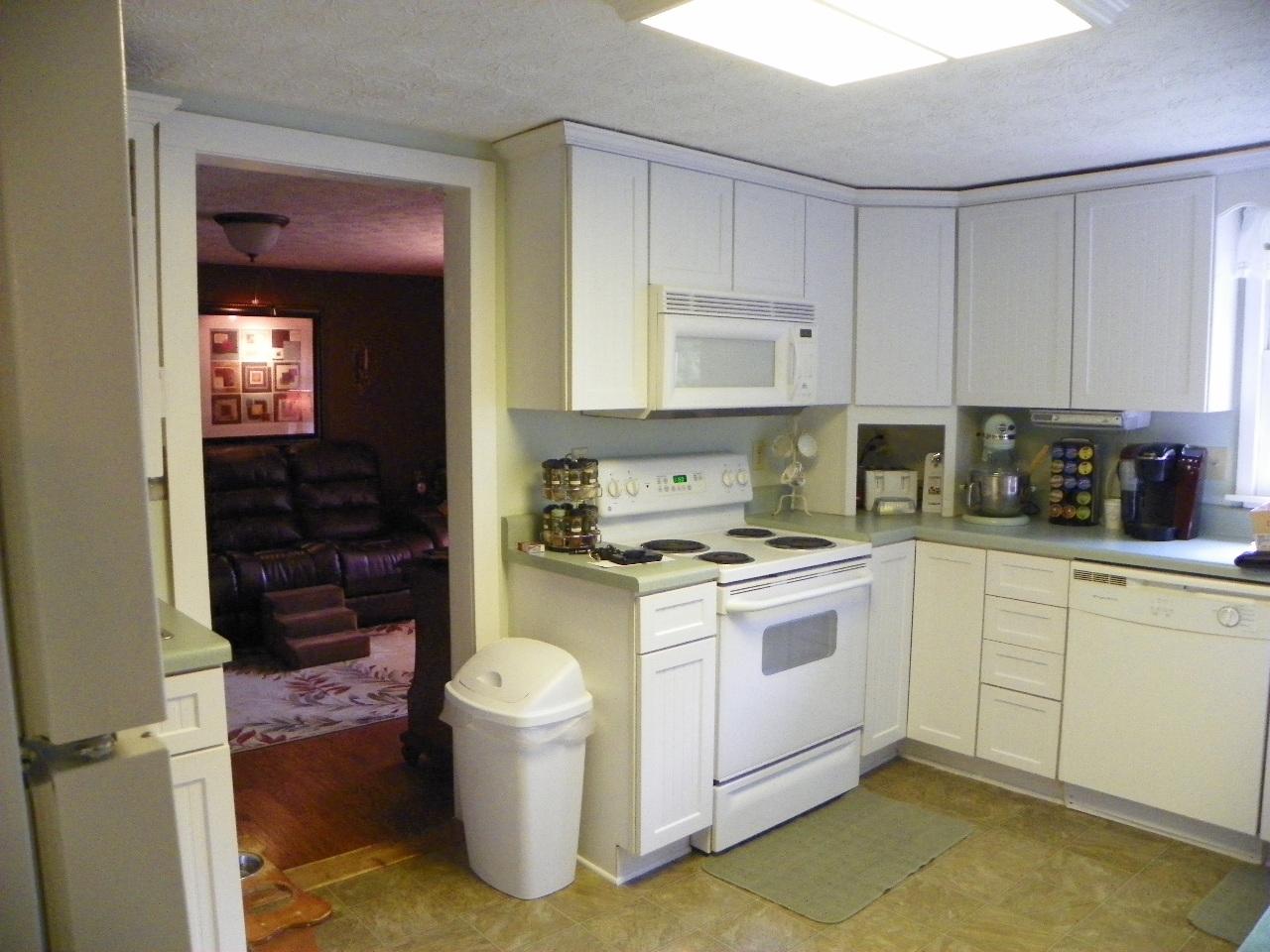 5050-5046 Jones Cove Road Cosby, TN 37722 - Photo 11 of 36 101_7186